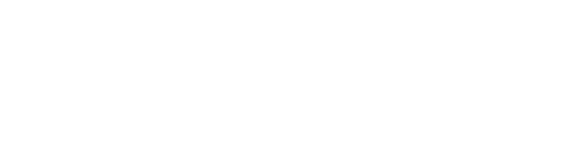 Neuraldash